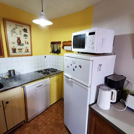 Apartament Confortable 2 Pieces Proche Pistes Et Commerces - Fr-1-771-30 *